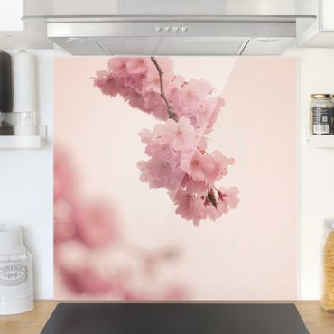 Panel szklany do kuchni - Bladoróżowy wiosenny kwiat z bokeh