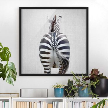 Obraz w ramie - Zebra From Behind