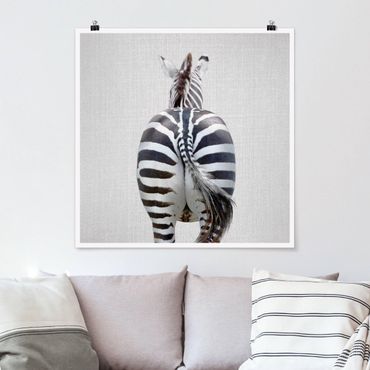 Plakat reprodukcja obrazu - Zebra From Behind
