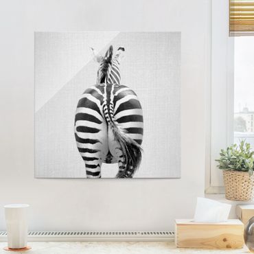 Obraz na szkle - Zebra From Behind Black And White