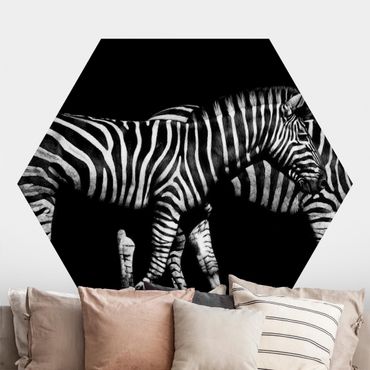 Sześciokątna tapeta samoprzylepna - Zebra przed Czarnym