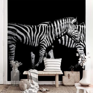 Tapeta metaliczna - Zebra przed Czarnym
