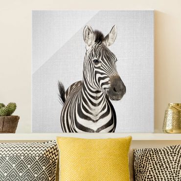 Obraz na szkle - Zebra Zilla