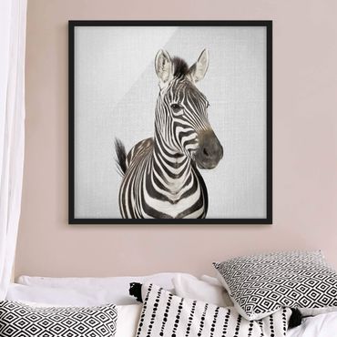Obraz w ramie - Zebra Zilla