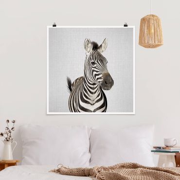 Plakat reprodukcja obrazu - Zebra Zilla