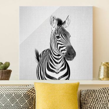 Obraz na szkle - Zebra Zilla Black And White