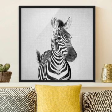 Obraz w ramie - Zebra Zilla Black And White
