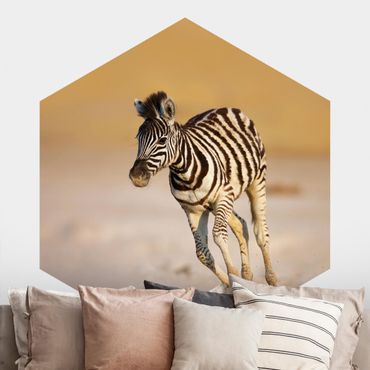 Sześciokątna tapeta samoprzylepna - źrebię z gatunku zebra