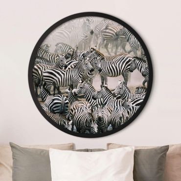Okrągły obraz w ramie - Zebra Herd