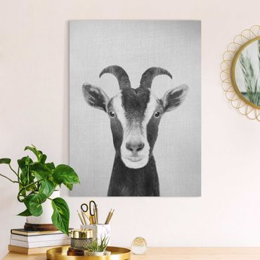 Obraz na płótnie - Goat Zora Black And White - Format pionowy 3:4