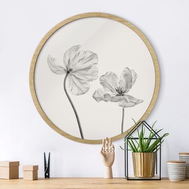 Okrągły obraz w ramie - Two Delicate White Tulips