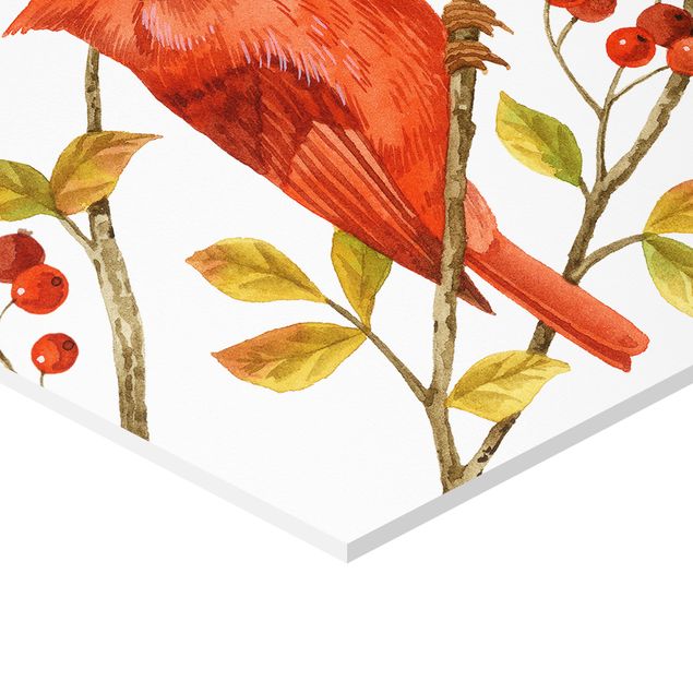 Obraz heksagonalny Ptaki i jagody - Czerwony kardynał