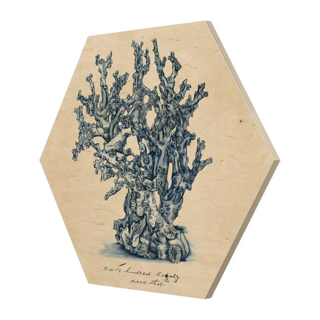 Obraz heksagonalny z drewna - Badanie koralowców morskich II