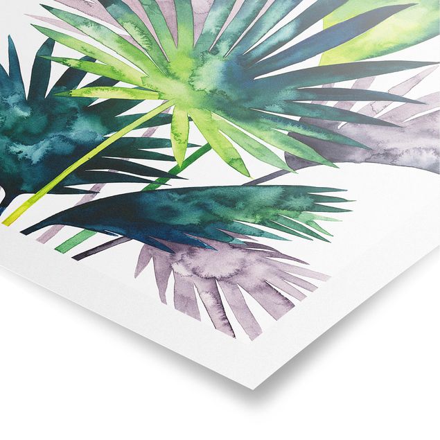 Obrazy kwiatowe Egzotyczne liście - Fan Palm