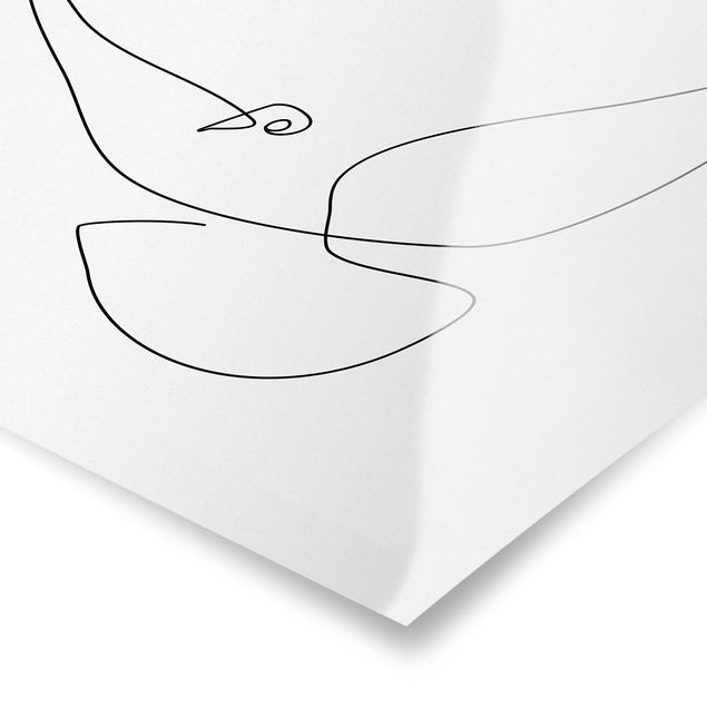Plakaty czarno białe Line Art Dove