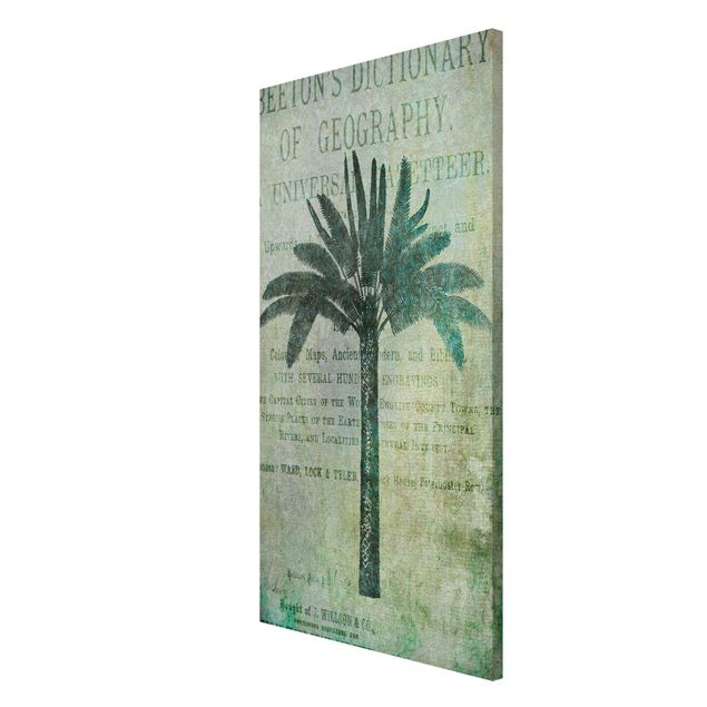 Obrazy nowoczesny Kolaż w stylu vintage - antyczne drzewo palmowe