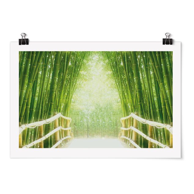 Obrazy drzewa Droga bambusowa