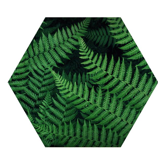 Obraz heksagonalny z drewna - Fern