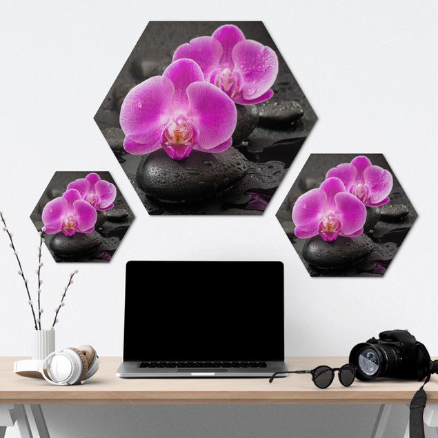 Obrazy Kwiaty różowej orchidei na kamieniach z kroplami