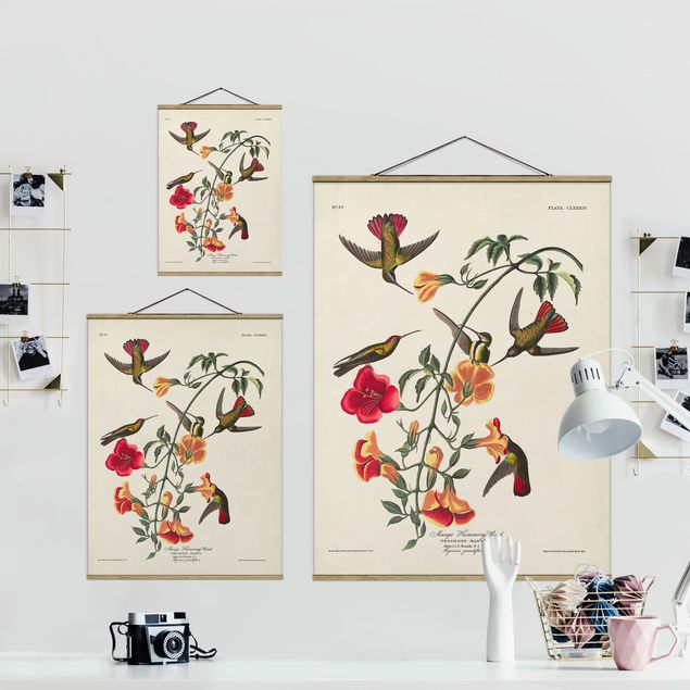 Obrazy motywy kwiatowe Tablica edukacyjna w stylu vintage Kolibry mango
