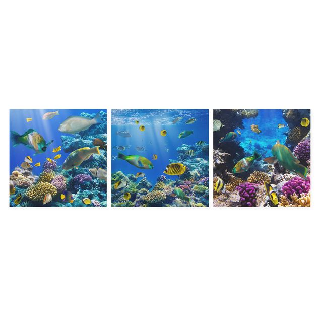 Obrazy ze zwierzętami Underwater Trio