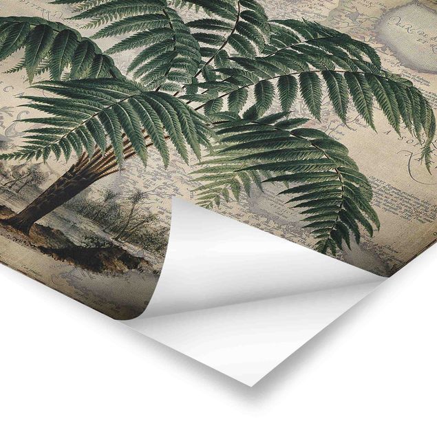 Zielony obraz Kolaż w stylu vintage - drzewo palmowe i mapa świata