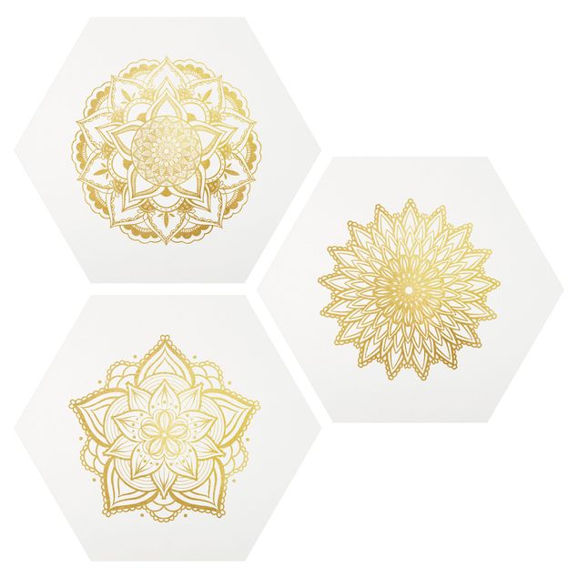 Nowoczesne obrazy Mandala Flower Sun Illustration Set Złoto