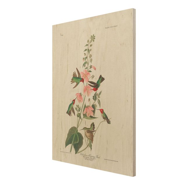 Obrazy z drewna Tablica edukacyjna w stylu vintage Kolibry kolumbijskie