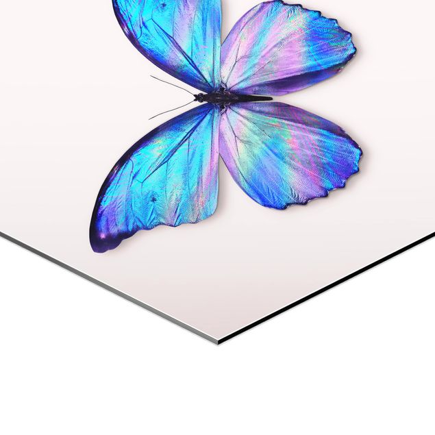 Obraz heksagonalny z Alu-Dibond - Holograficzny motyl