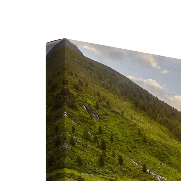 Zielony obraz Łąka alpejska Tyrol