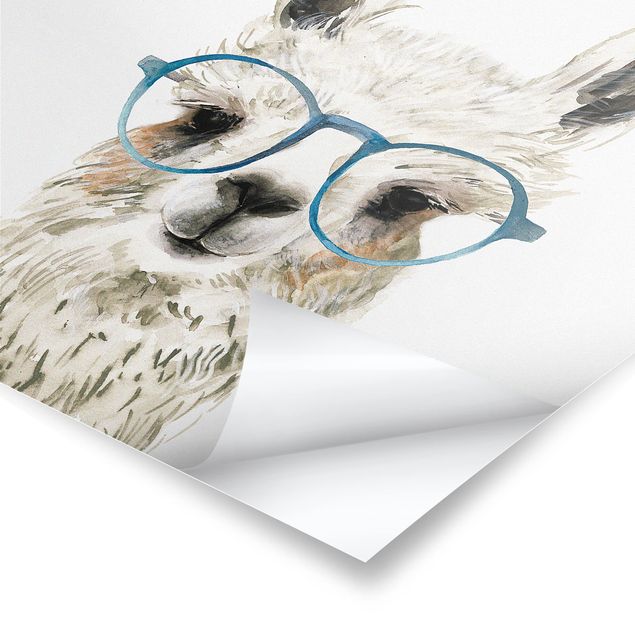 Plakaty zwierzęta Hippy Llama w okularach III