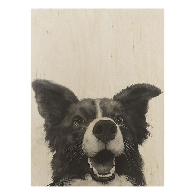 Obrazy na ścianę Ilustracja pies Border Collie czarno-biały malarstwo