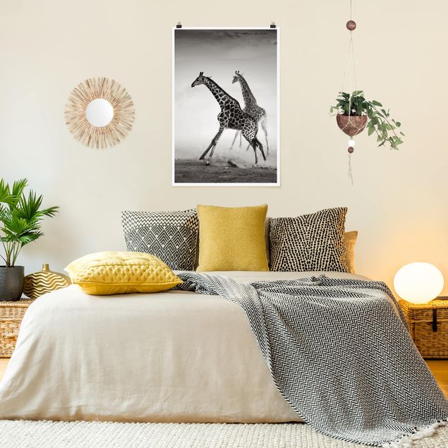 Obrazy do salonu nowoczesne Polowanie na żyrafę