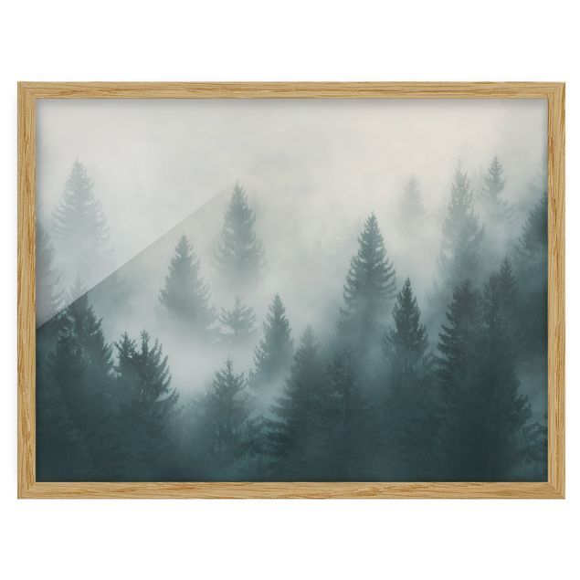Obrazy w ramie do łazienki Las iglasty we mgle
