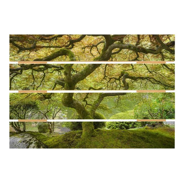 Obrazy na drewnie Zielony ogród japoński