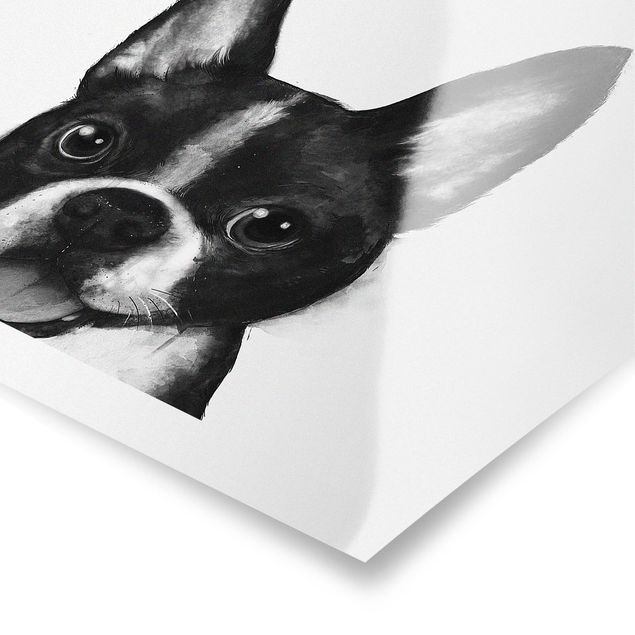 Czarno białe obrazy Ilustracja pies Boston czarno-biały Painting