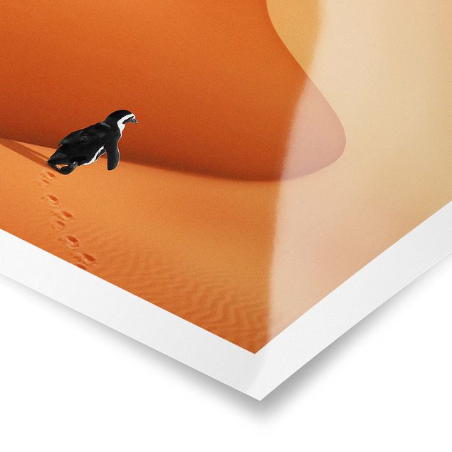 Obraz pomarańczowy Pustynia z pingwinem