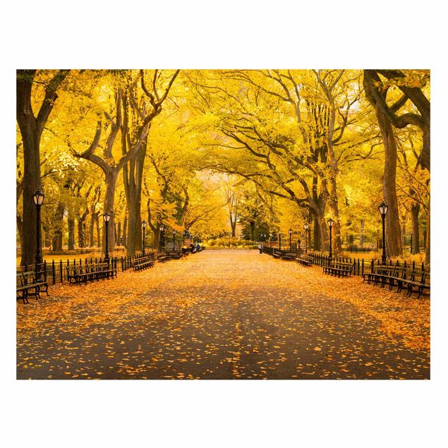 Obrazy do salonu nowoczesne Jesień w Central Parku