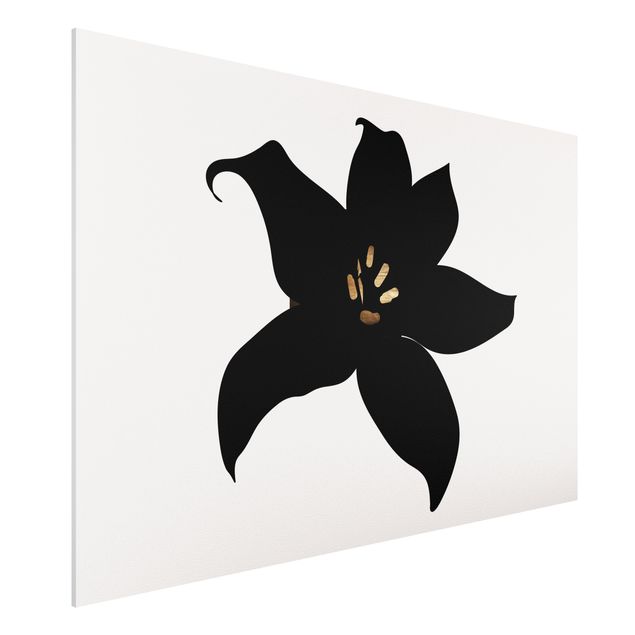 Obrazy orchidea Graficzny świat roślin - Orchidea czarno-złota