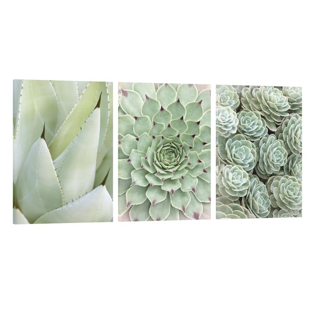 Zielony obraz Cacti Trio