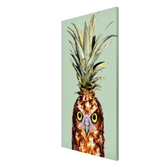 Obrazy nowoczesne Ananas z sową