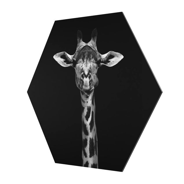 Obraz heksagonalny z Alu-Dibond - Portret ciemnej żyrafy
