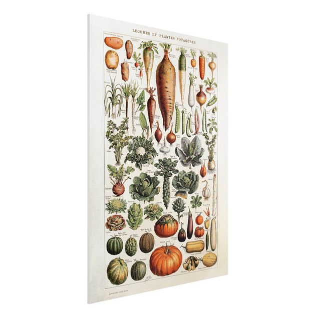 Obraz z owoców i warzyw Tablica edukacyjna w stylu vintage Warzywa