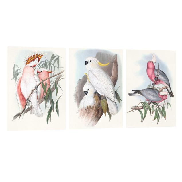 Obrazy ze zwierzętami Pastelowe papugi Zestaw I