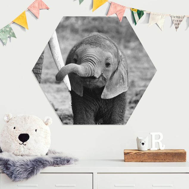 Obrazy do salonu nowoczesne Baby słoń
