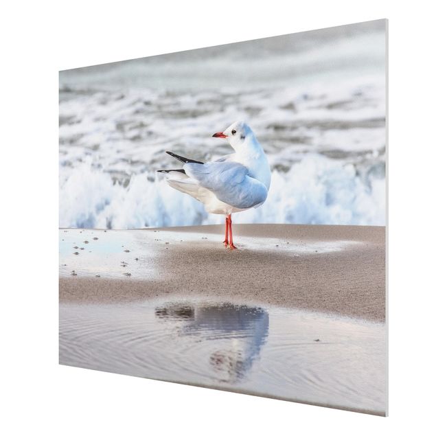 Obrazy nowoczesne Mewa na plaży przed morzem