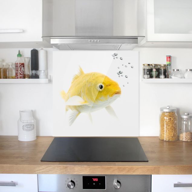 Panele szklane do kuchni Żółta rybka
