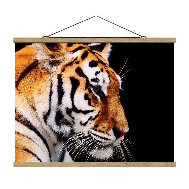 Obrazy zwierzęta Tiger Beauty