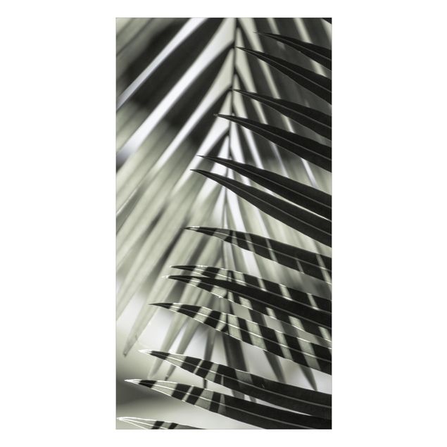 Tylna ścianka prysznicowa - Interplay Of Shaddow And Light On Palm Fronds