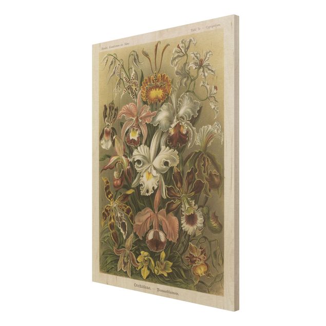Obrazy drewniane Tablica edukacyjna w stylu vintage Orchidea
